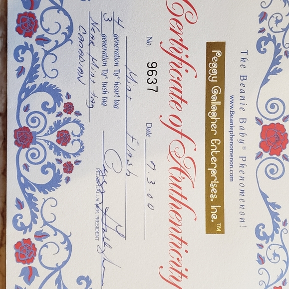 AUTHENTIC and MINT Flash Beanie Baby. Certificate of Authenticity and Acrylic ca - Picture 11 of 11